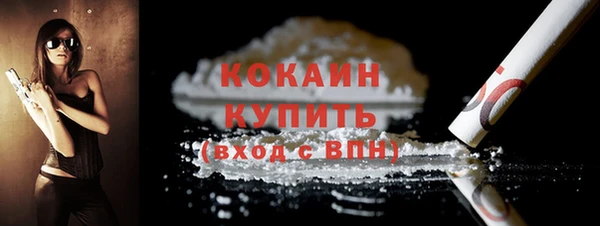 прущие грибы Абаза