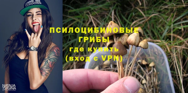 твердый Нея