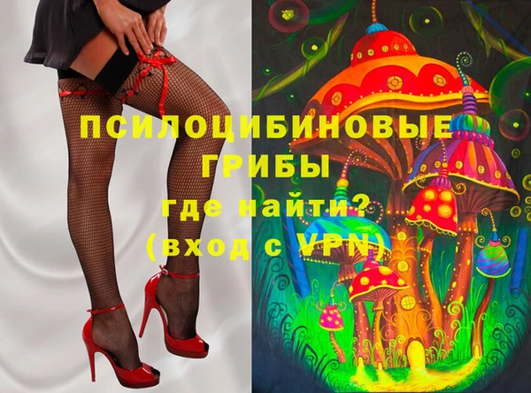 прущие грибы Абаза
