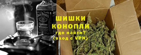 прущие грибы Абаза