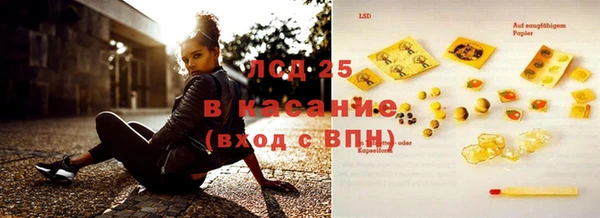 прущие грибы Абаза
