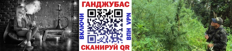 закладки  Кедровый  Марихуана конопля 